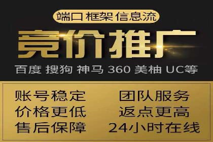 竞价推广策略解析：实战案例分析